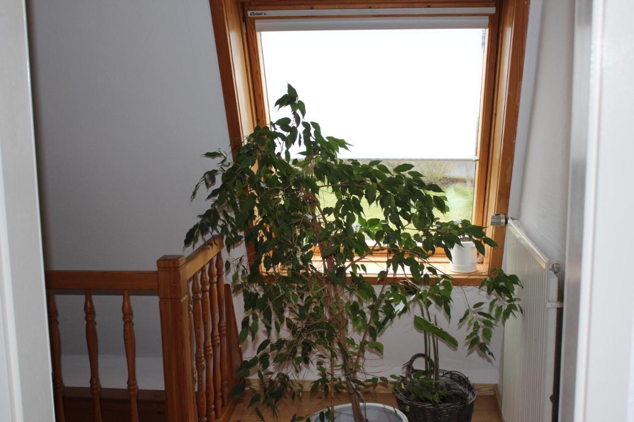 Ferienwohnung Nett Бланкенхайм Екстериор снимка